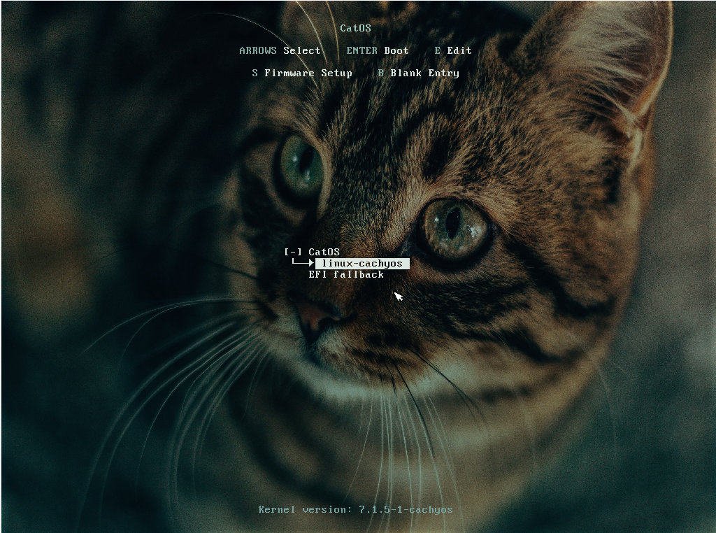 CatOS Limine boot screen